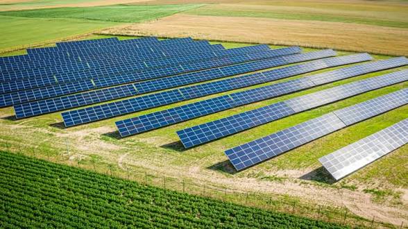 Agricultural Enterprises